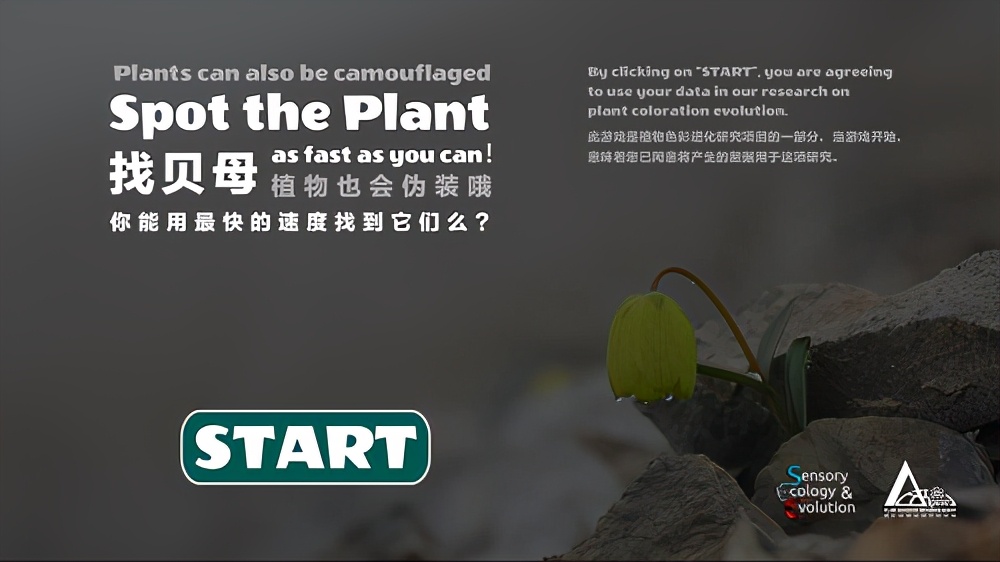 号召网友一起来玩“找茬游戏”，研究结果发了篇顶级论文