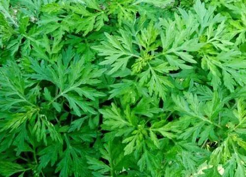 最近流行的护肤品,当下流行的国货护肤品