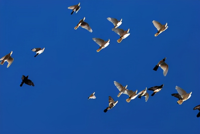 爱一个人为什么要克制自己,爱一个人会克制住自己的欲望吗