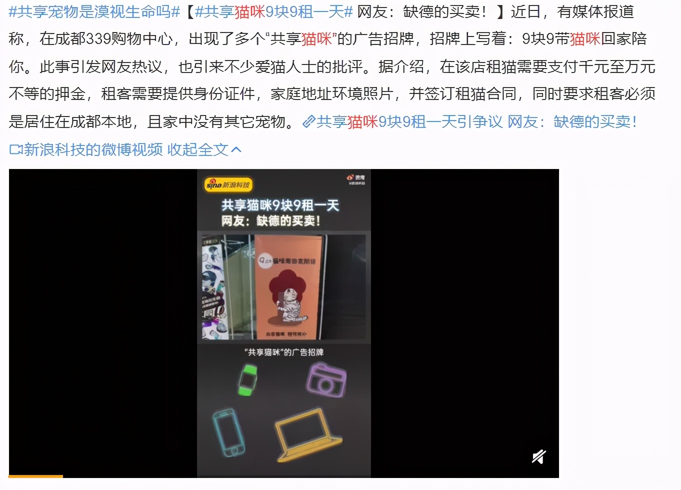 共享猫咪,共享猫咪有哪些项目