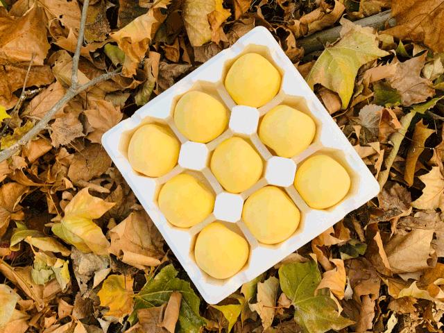 日本天价水果上热搜，苹果100元一个！中国老农却种出奶油富士