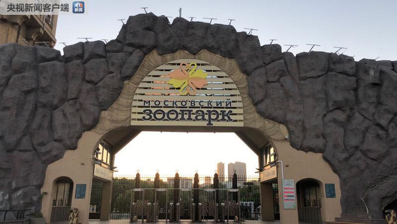 时政新闻眼｜习*平近**访俄首日，这些亮点点亮中俄关系新时代