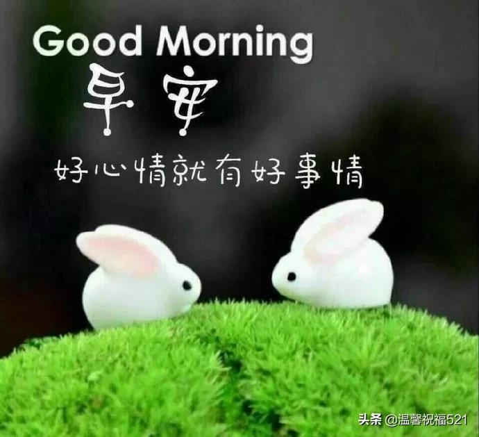 微信早上好最暖心祝福问候语图片,微信问候语大全早上好图片