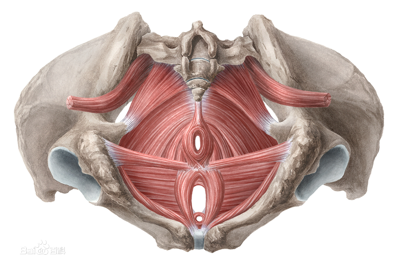 孕期多做这几个动作对顺产有好处,孕期要多做什么运动才防止撕裂