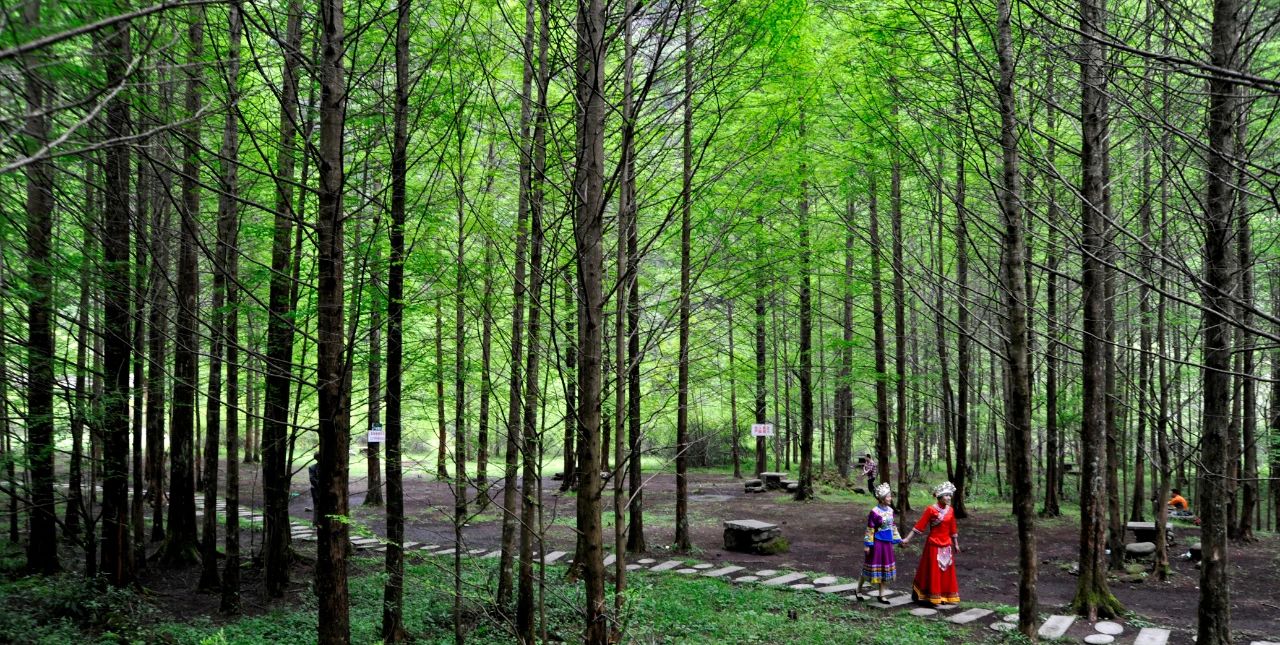 重庆周边露营耍水的地方避暑,重庆夏日避暑好去处两天一夜