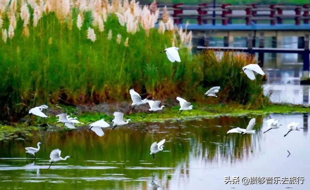 开挂了这座人口仅30万的小城,却连续5年上榜“四川省十强县”