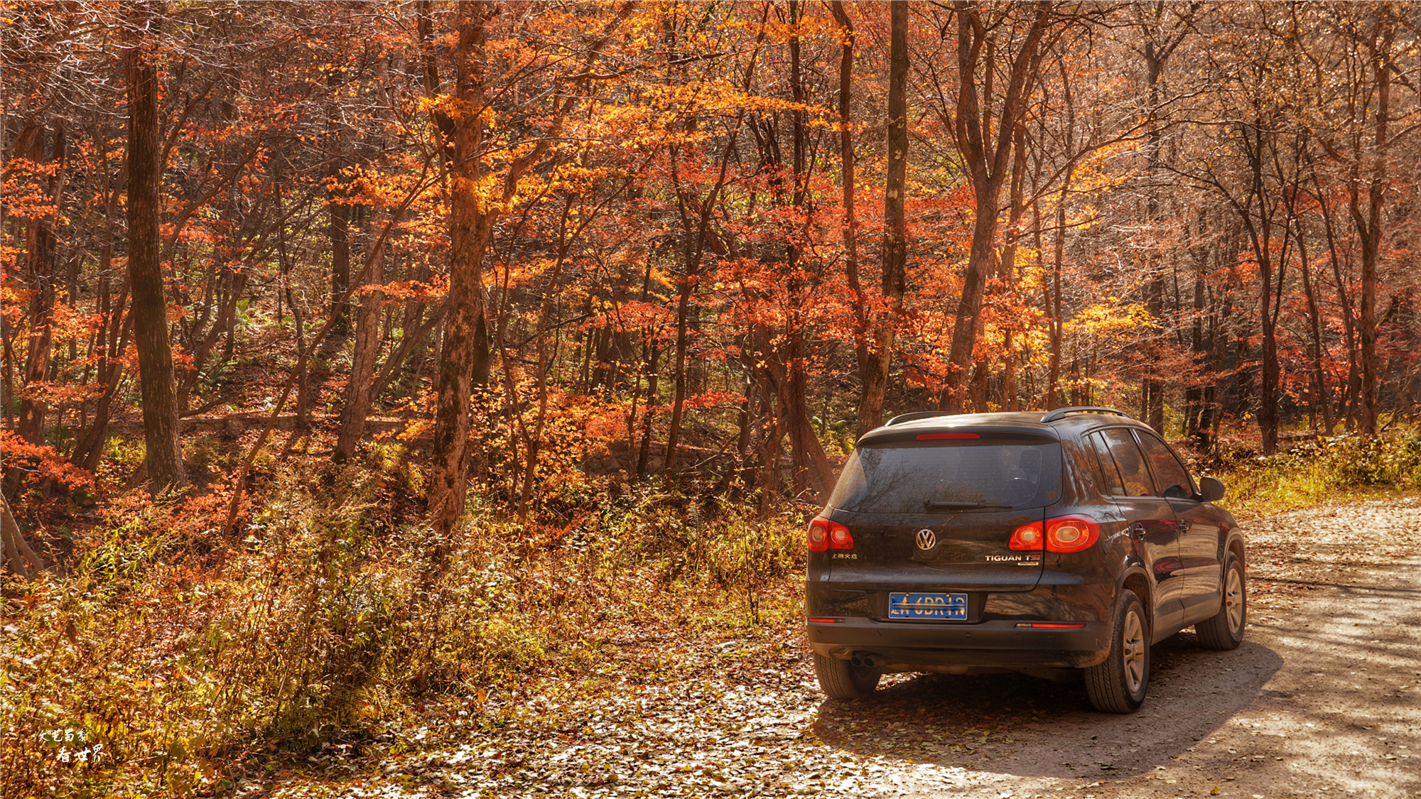 本溪关门山看枫叶最佳游览路线,本溪红叶层林尽染自驾游攻略