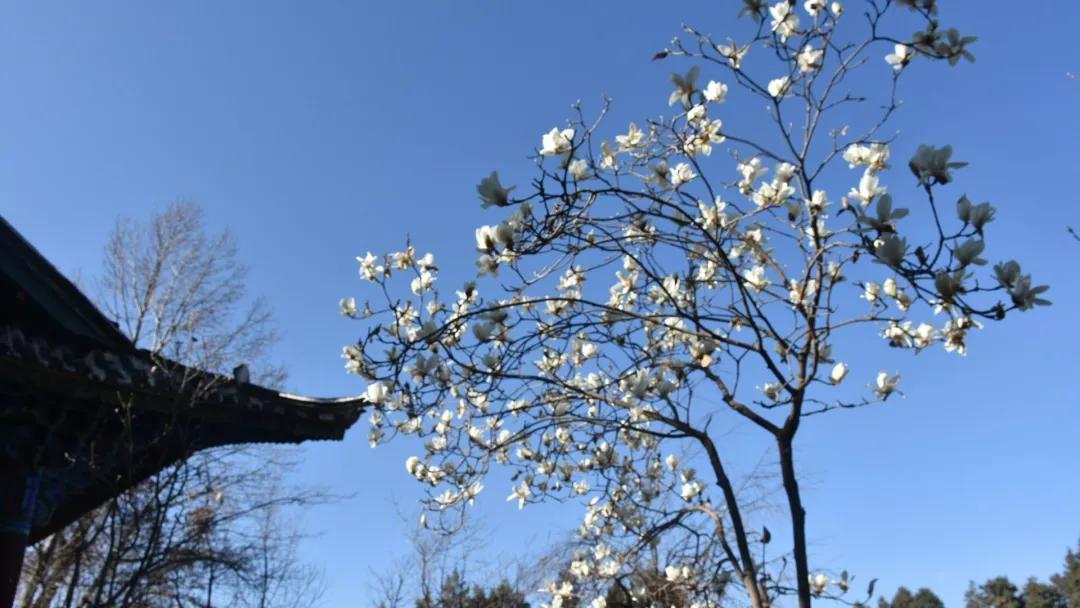 瞧!这花花世界谁不爱