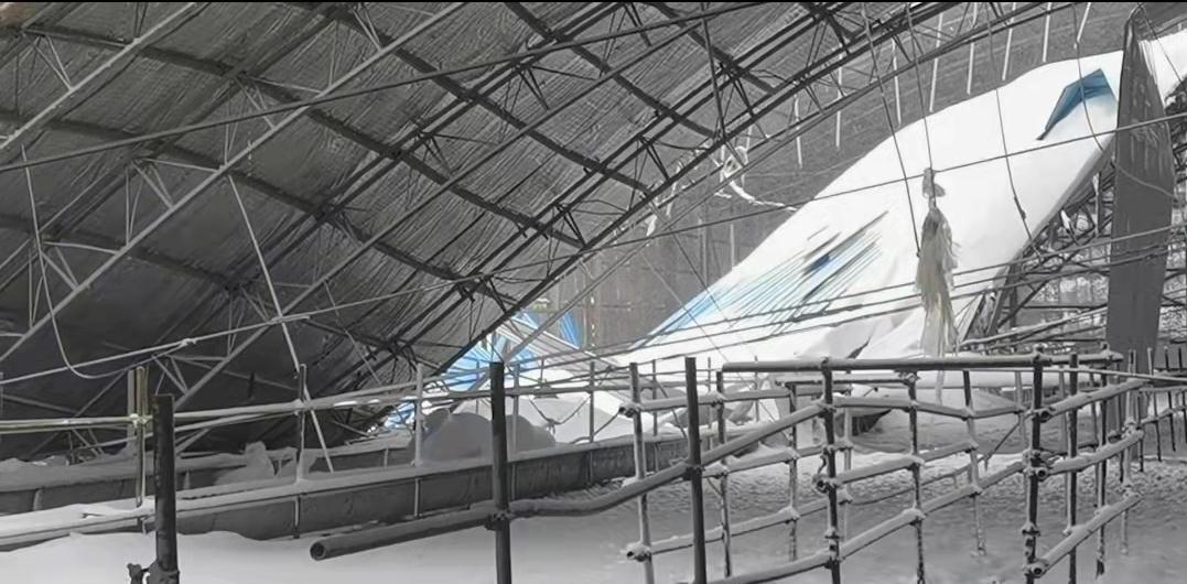 浴血奋战严寒,内蒙古通辽遭遇雪灾