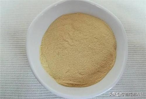 鱼蛋白是什么肥,正品鱼蛋白有什么作用