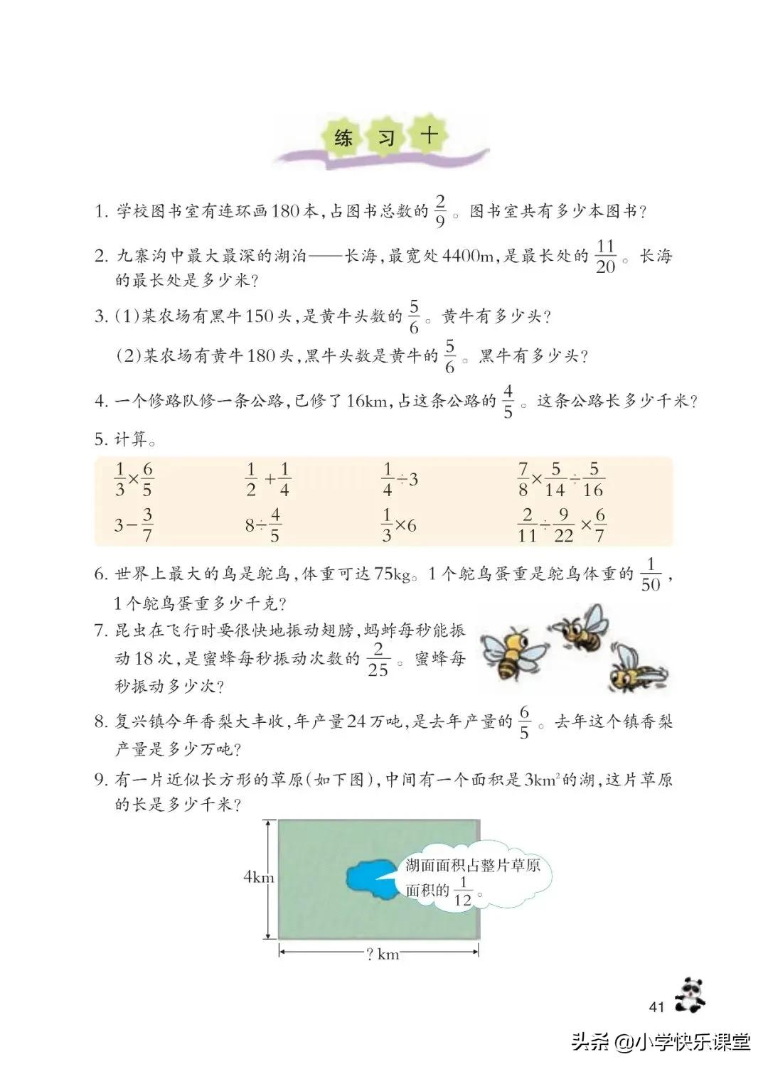 西师大版六年级数学上一单元试题,六年级上册数学西师大版问题解决
