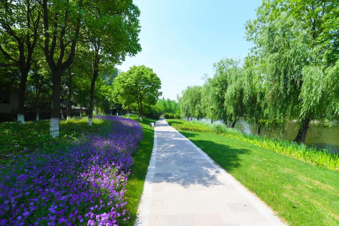 造纸厂变身绿地公园！富阳出现了一个超大草坪，相当于4.5个足球场！