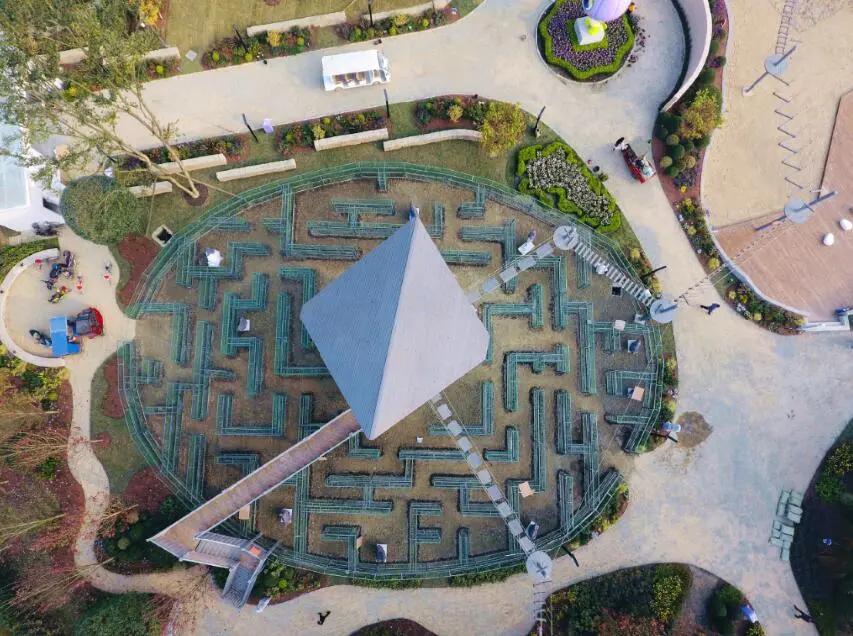 不只是卖花!春天花乐园2.0来了