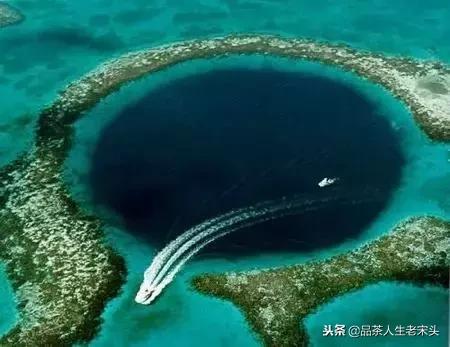 最新世界十大“怪”,最后一个太绝了!