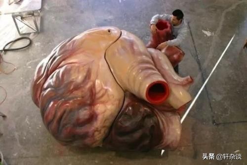 世界上有哪些最大的巨型动物,地球上有史以来最大的动物排名