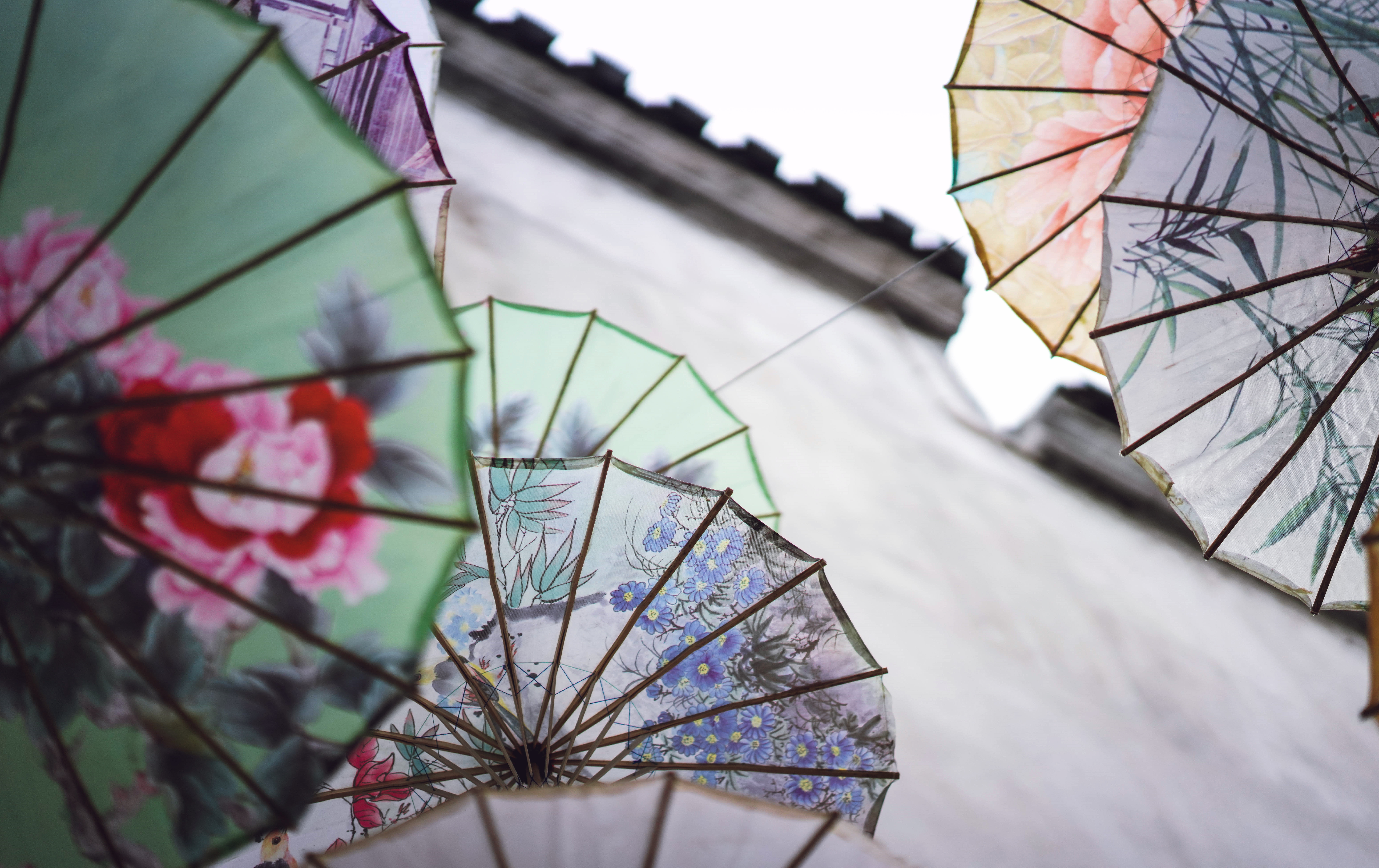 婺源熹园全景,婺源熹园宾舍门票