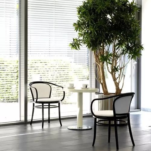 探访TON工厂看经典椅子背后的故事|疯狂24h我们去捷克干了啥?