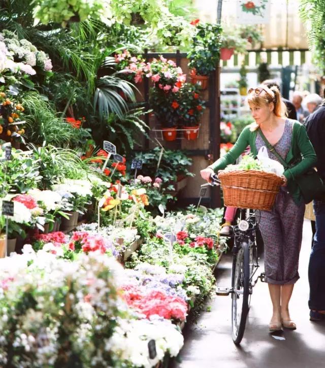 亚洲最大花市宛如仙境,中国最牛的花市
