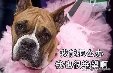 古代水利工程基础知识,古代水利工程有哪些