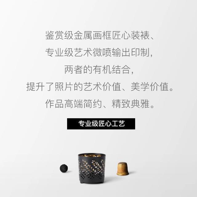 世界五百强/特想文化集团·大师工坊雪峰印象系列产品正式上线