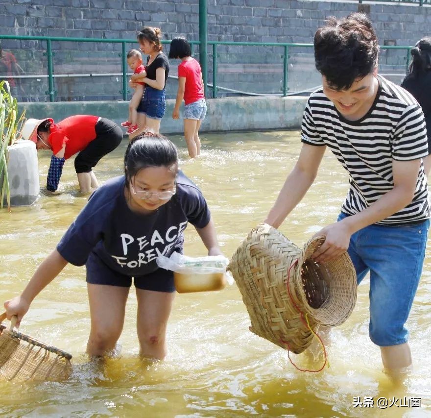 逃离高温“熔炉”，南方的夏天就该玩雪