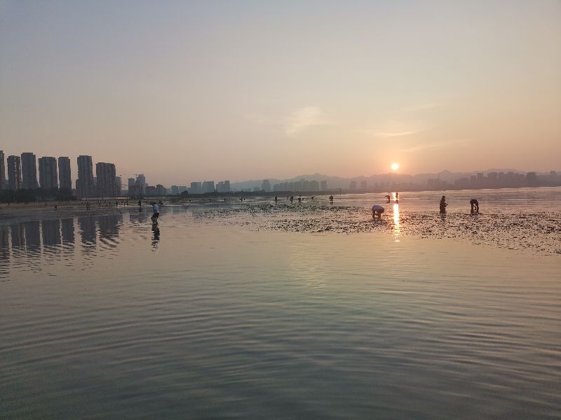 赶海挖蛏子找蛏子眼,想赶海捡贝壳海螺