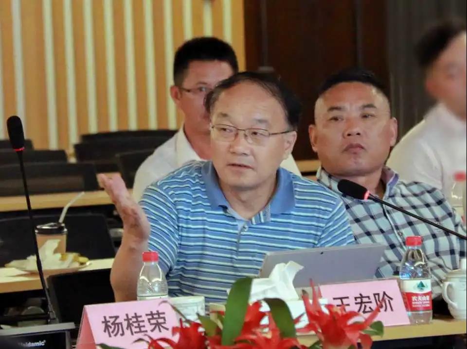 上海杨艺集团,杨艺集团最新公告