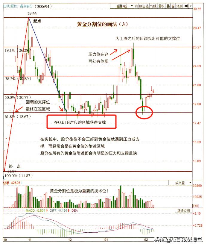 黄金分割画法圆形,黄金分割点的画法