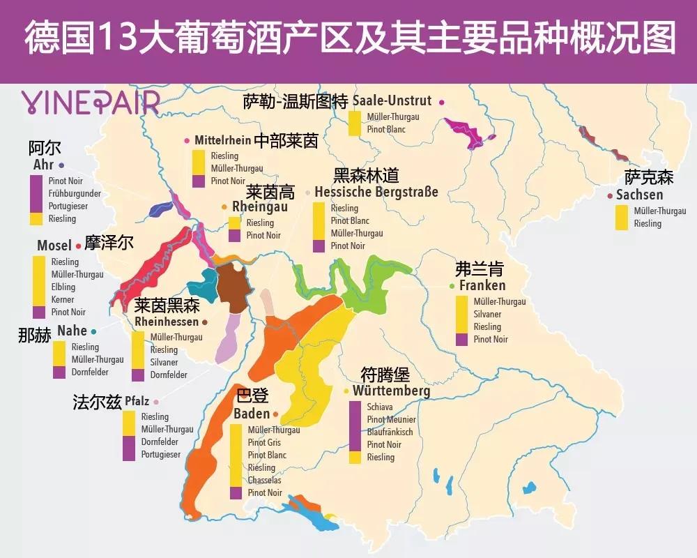 包学包会视频教程,一分钟看懂德国葡萄酒