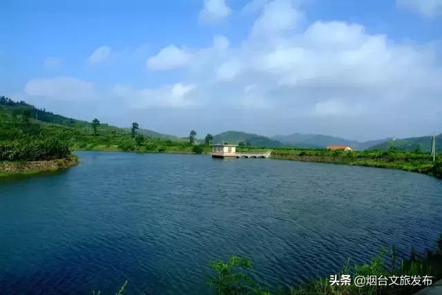 閬囪閱夌編閲戠,閬囪閱夌編閲戠鏂囨梾绯诲垪娲诲姩鍙戝竷