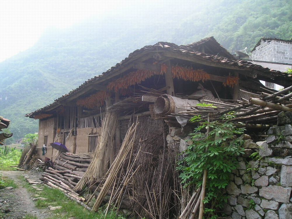 2006年，我走进广西都安山区，发现那里的人真的是“人穷志不穷”