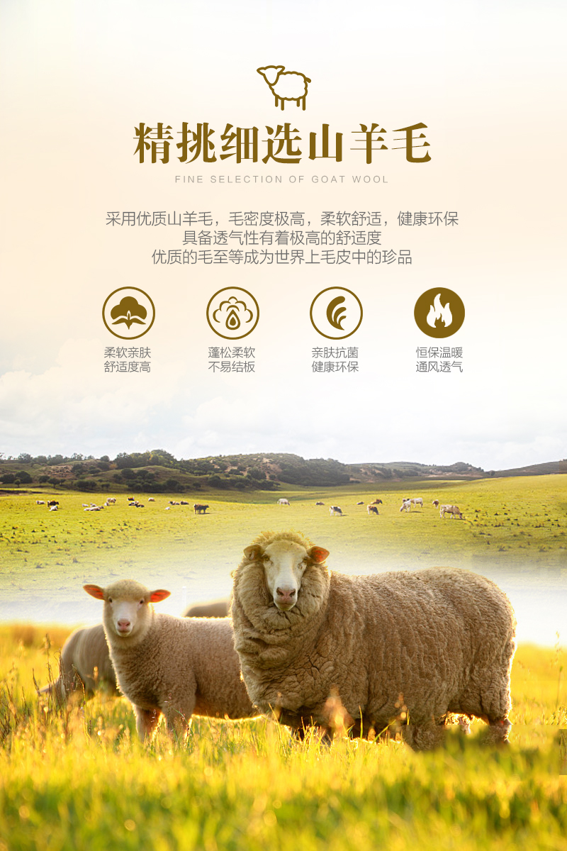 路福冬夏两用床垫,路福护脊床垫