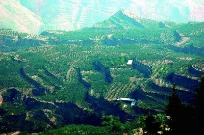 武都的风景大全,武都美丽景色