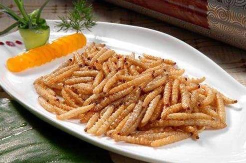 农村人又爱又恨的小昆虫,如今搬上餐桌,真下不去口