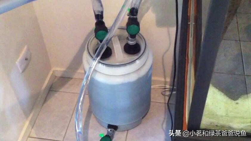 鱼缸上过滤系统和下过滤的区别,养观赏鱼的过滤方法视频教程全集