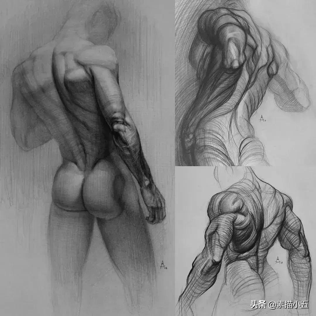 他画的素描无与伦比,他画的画栩栩如生让人拍案叫绝