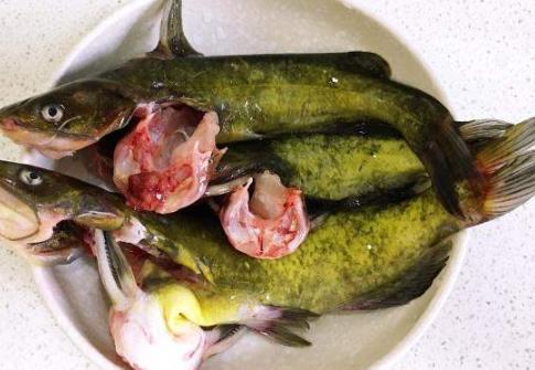 豆腐鱼汤怎么做好喝又营养,豆腐鱼汤怎么做好喝又清淡