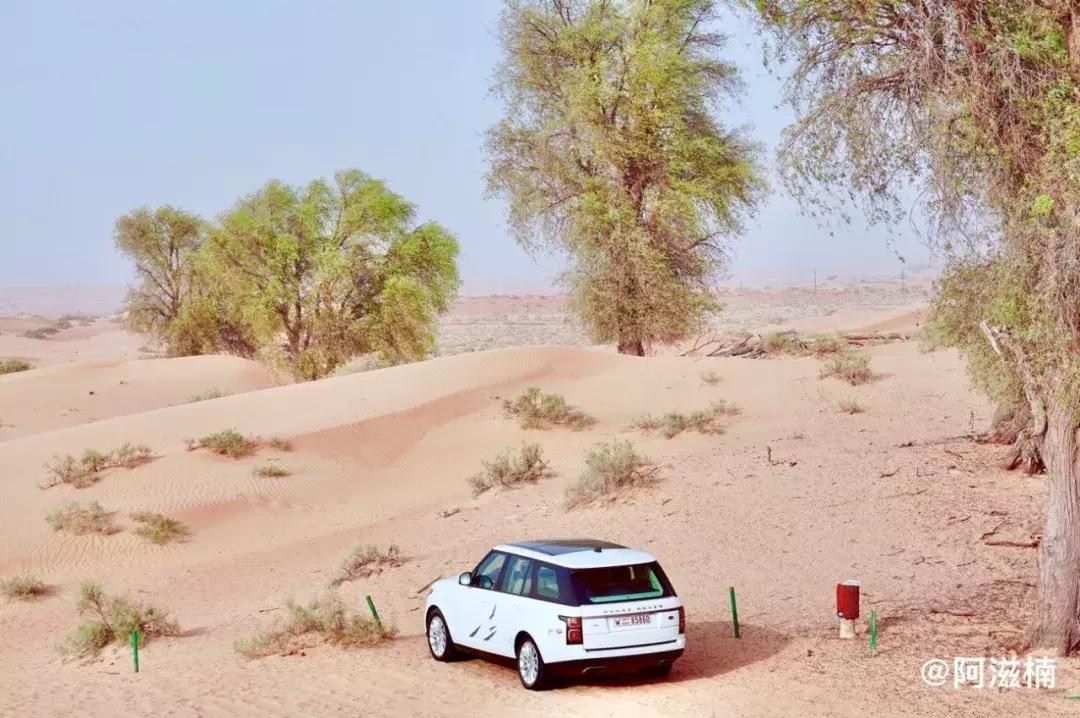 沙漠上的奇迹迪拜,沙漠奇迹之城攻略