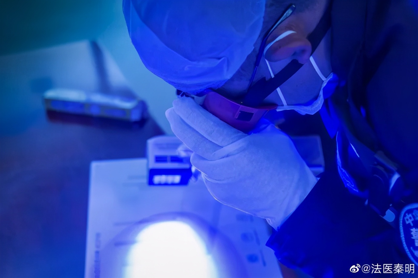 法医秦明破案的视频,法医秦明直播有真实画面