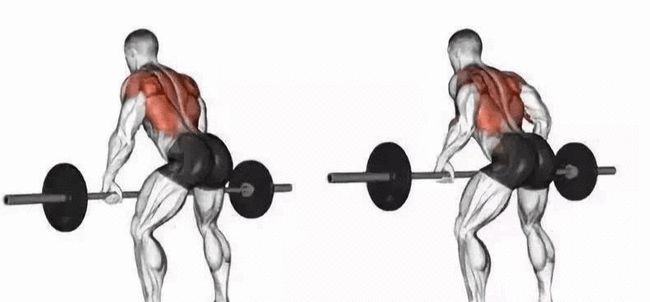 俯身杠铃划船腿累怎么回事,俯身杠铃划船为什么肩膀疼