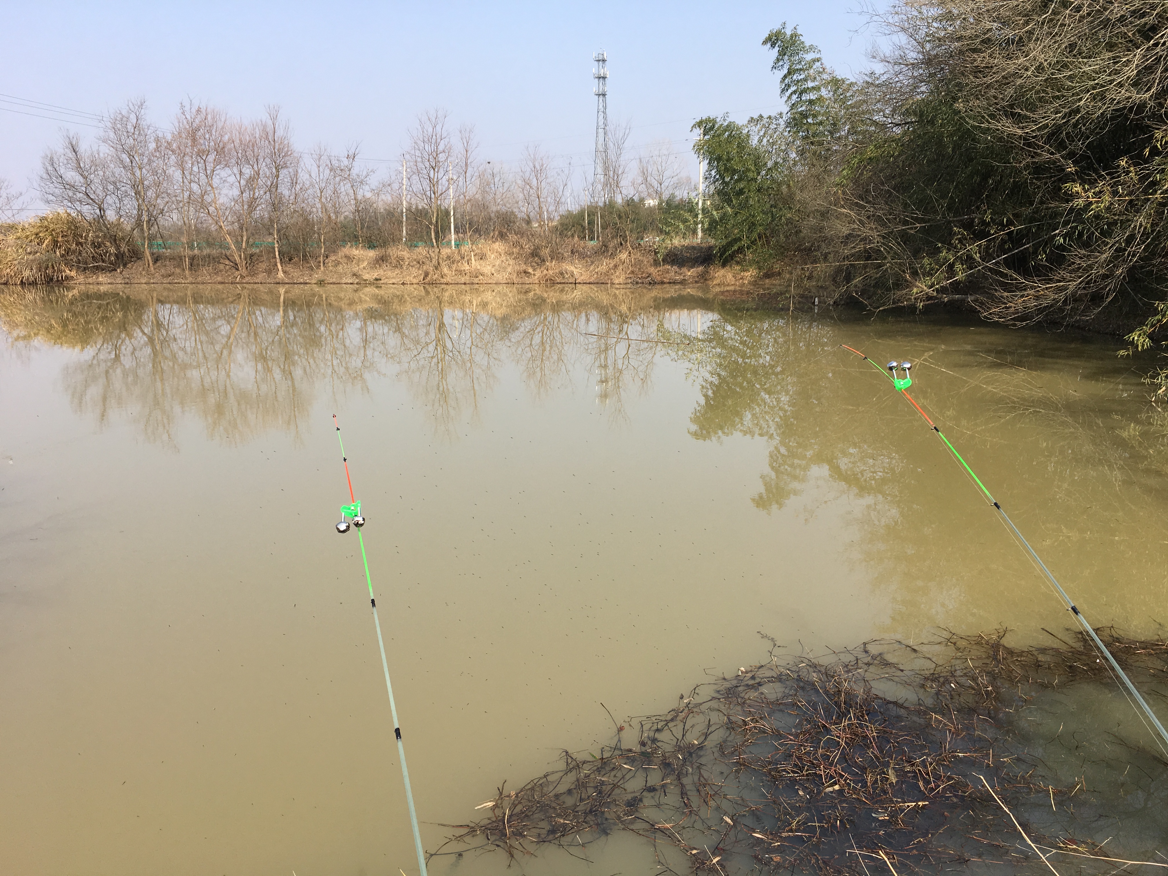 经常钓不到鱼原来是少了这个步骤,冬季晴天10度钓鲤鱼钓深还是钓浅