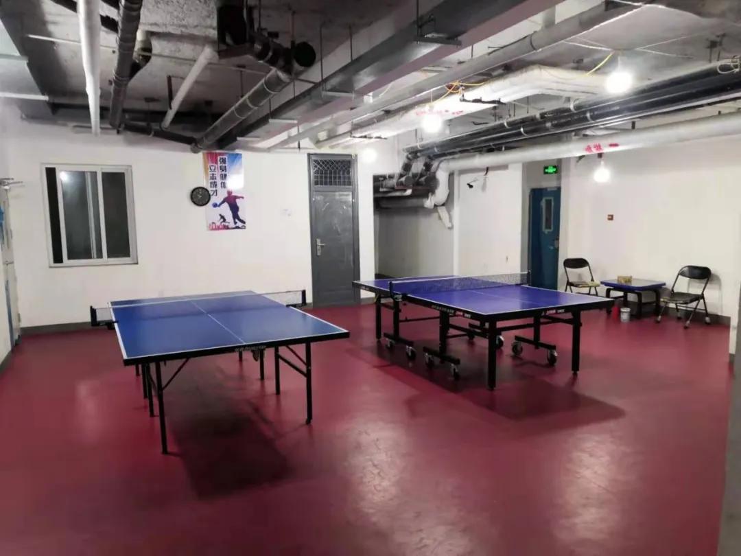 足球老将的故事简介,足球少年的故事