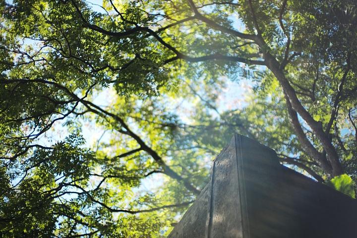 反璞归真2.0,反璞归真005