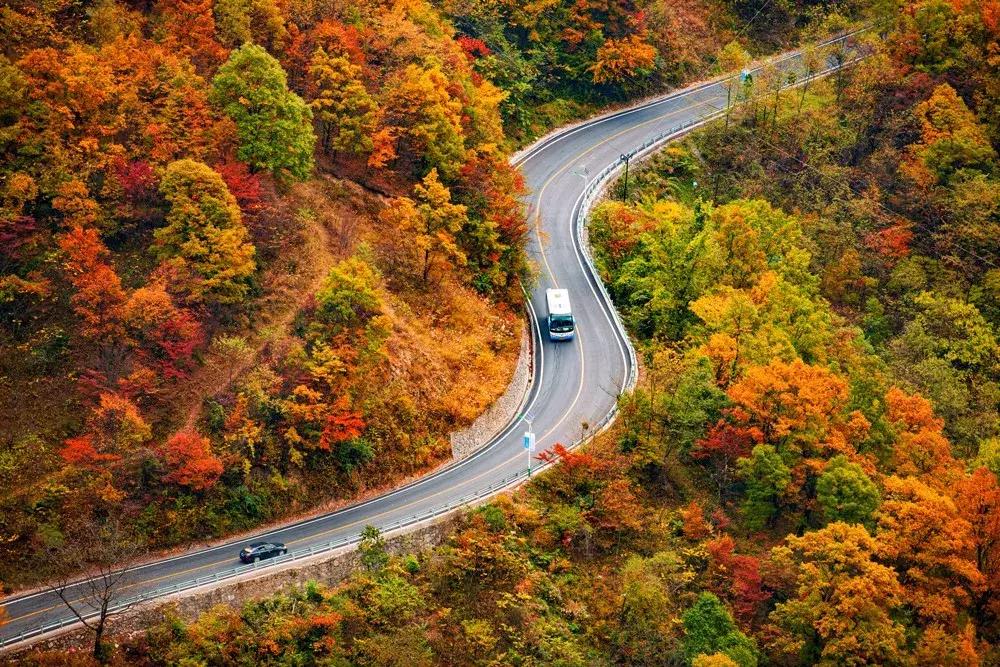 11月适合去旅行的著名风景推荐,10月11月适合旅游的地方