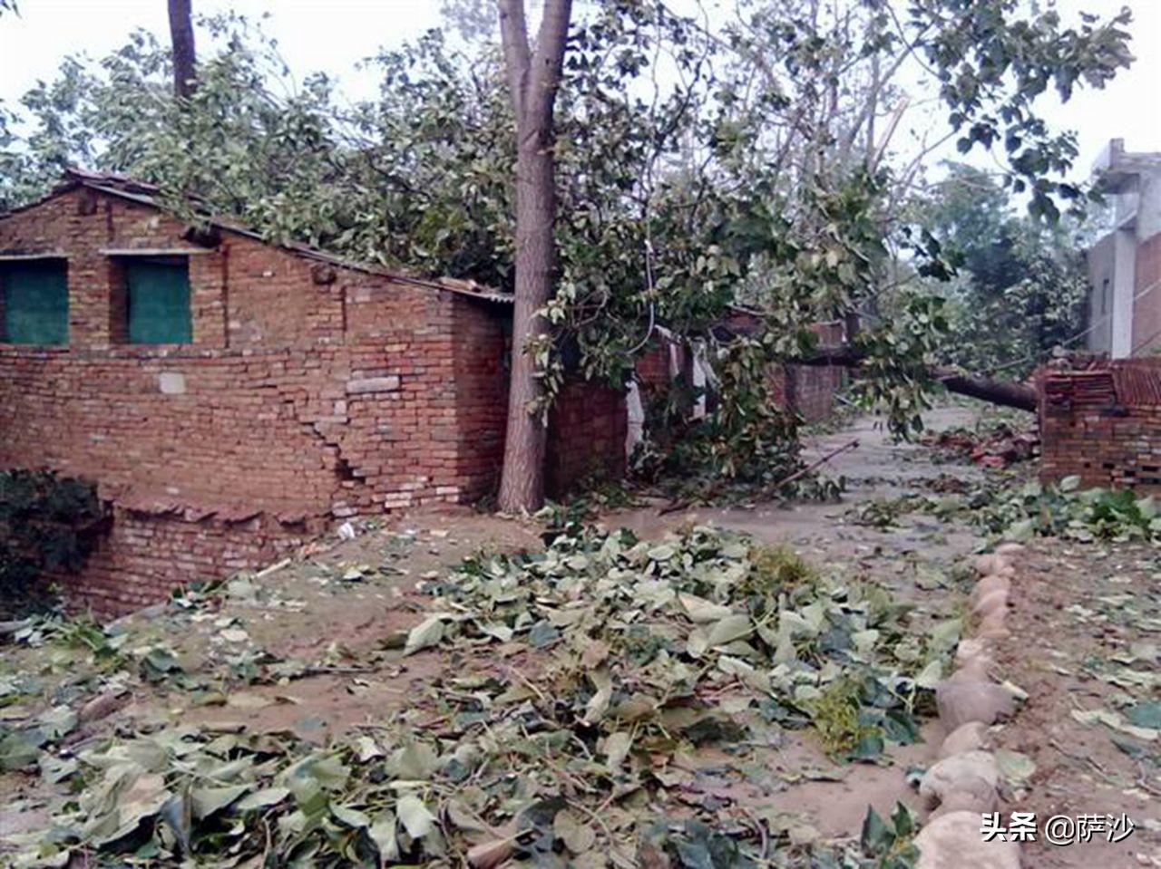 山区女富豪被杀案,美貌少妇乡下遇害真实案例后续