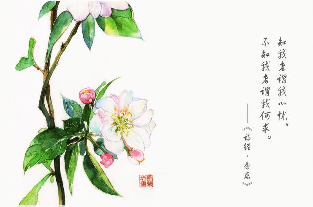 诗经里最美的句子美到骨子里,美到骨子里的诗经