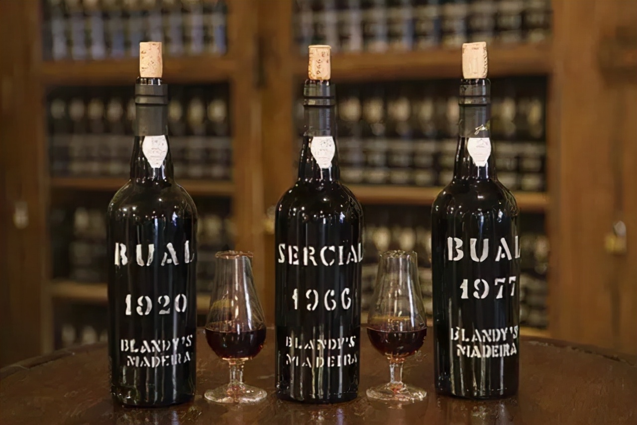 最完整详细的葡萄酒知识大全,史上最全葡萄酒醒酒指南