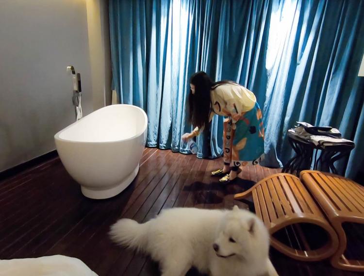 「第四期」一辆房车,三只毛孩子,三个姑娘,9476公里奇遇记