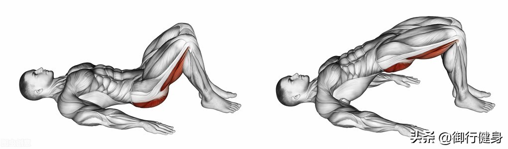 臀部松弛下垂的最好锻炼方法,臀部松弛下垂如何锻炼