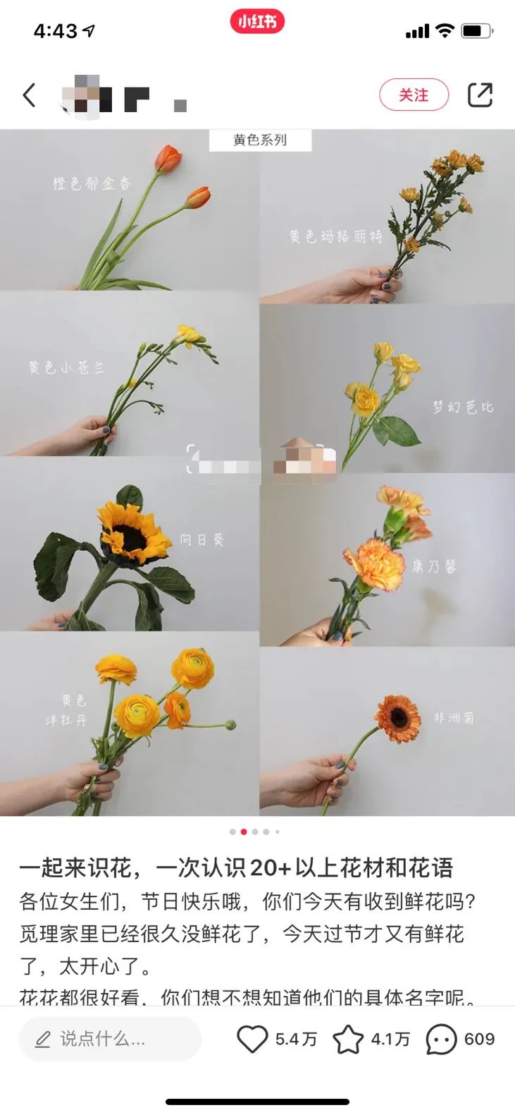 做鲜花生意如何入手,鲜花促销生意怎么做